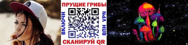 магазин продажи   omg сайт  Галлюциногенные грибы Psilocybine cubensis  Кемь 